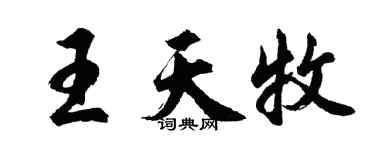 胡问遂王天牧行书个性签名怎么写