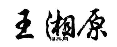 胡问遂王湘原行书个性签名怎么写
