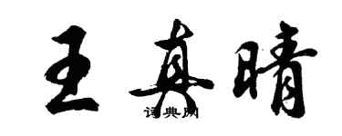胡问遂王真晴行书个性签名怎么写