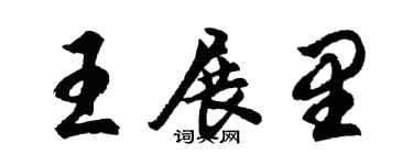 胡问遂王展里行书个性签名怎么写