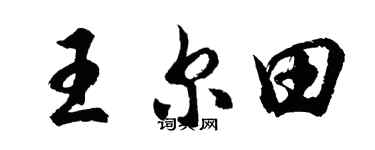 胡问遂王尔田行书个性签名怎么写