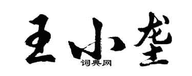 胡问遂王小垄行书个性签名怎么写