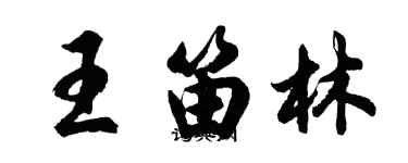 胡问遂王笛林行书个性签名怎么写