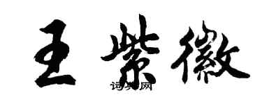 胡问遂王紫徽行书个性签名怎么写