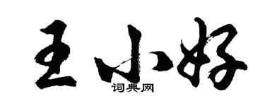 胡问遂王小好行书个性签名怎么写