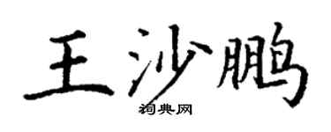 丁谦王沙鹏楷书个性签名怎么写