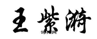 胡问遂王紫漪行书个性签名怎么写