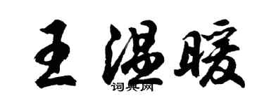 胡问遂王温暖行书个性签名怎么写