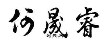 胡问遂何晟睿行书个性签名怎么写