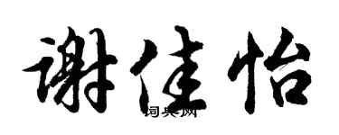 胡问遂谢佳怡行书个性签名怎么写