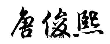 胡问遂唐俊熙行书个性签名怎么写