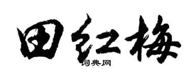 胡问遂田红梅行书个性签名怎么写