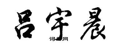 胡问遂吕宇晨行书个性签名怎么写