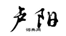 胡问遂卢阳行书个性签名怎么写