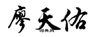 胡问遂廖天佑行书个性签名怎么写