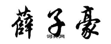 胡问遂薛子豪行书个性签名怎么写