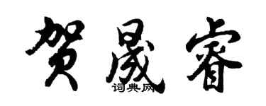胡问遂贺晟睿行书个性签名怎么写