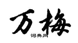 胡问遂万梅行书个性签名怎么写