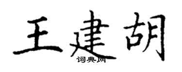 丁谦王建胡楷书个性签名怎么写