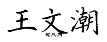 丁谦王文潮楷书个性签名怎么写