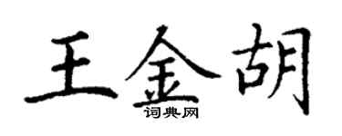 丁谦王金胡楷书个性签名怎么写