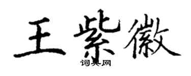 丁谦王紫徽楷书个性签名怎么写
