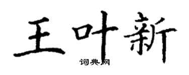 丁谦王叶新楷书个性签名怎么写