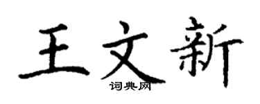 丁谦王文新楷书个性签名怎么写