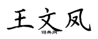 丁谦王文凤楷书个性签名怎么写