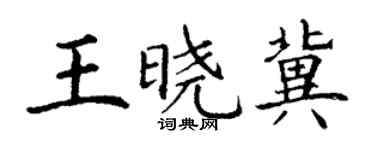 丁谦王晓冀楷书个性签名怎么写