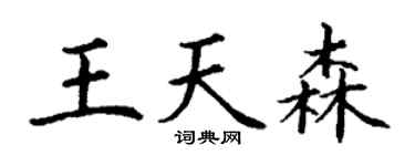 丁谦王天森楷书个性签名怎么写