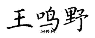 丁谦王鸣野楷书个性签名怎么写