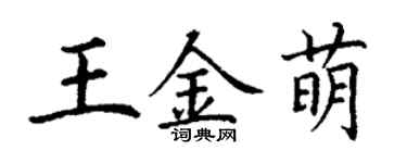 丁谦王金萌楷书个性签名怎么写