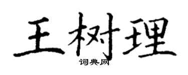 丁谦王树理楷书个性签名怎么写