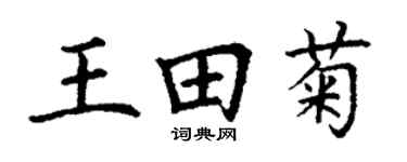 丁谦王田菊楷书个性签名怎么写