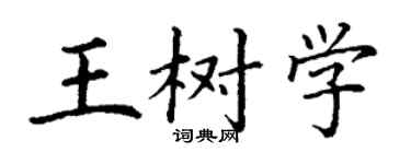 丁谦王树学楷书个性签名怎么写