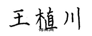 何伯昌王植川楷书个性签名怎么写