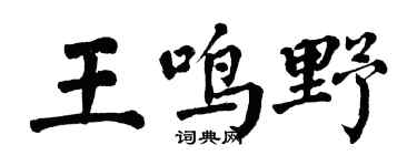 翁闿运王鸣野楷书个性签名怎么写