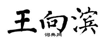 翁闿运王向滨楷书个性签名怎么写