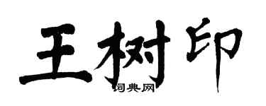 翁闿运王树印楷书个性签名怎么写