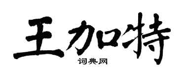 翁闿运王加特楷书个性签名怎么写