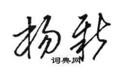 骆恒光杨新草书个性签名怎么写