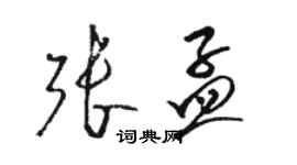 骆恒光张孟草书个性签名怎么写
