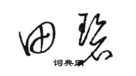 骆恒光田碧草书个性签名怎么写