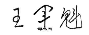 骆恒光王军魁草书个性签名怎么写
