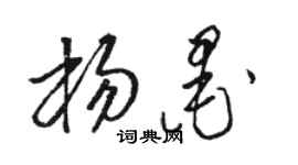 骆恒光杨墨草书个性签名怎么写