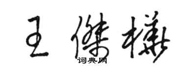 骆恒光王杰桦草书个性签名怎么写
