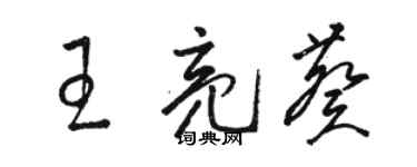 骆恒光王亮葵草书个性签名怎么写