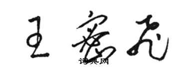 骆恒光王密飞草书个性签名怎么写