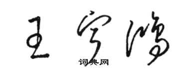 骆恒光王宁鸿草书个性签名怎么写